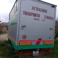 Vendita cassone