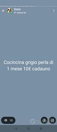 Pulcinotti