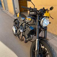 Ducati scrambler 800