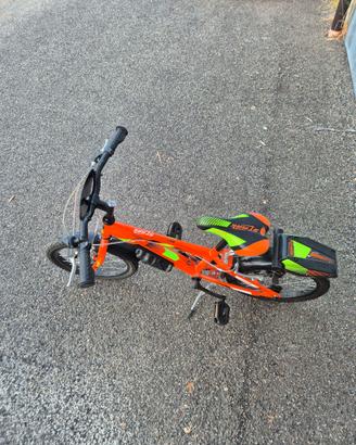 Bicicletta