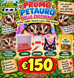 Petauri dello zucchero +gabbia+sacca+beverino+mang