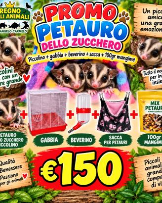 Petauri dello zucchero +gabbia+sacca+beverino+mang