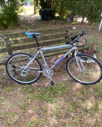 Mtb raleigh