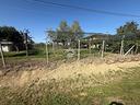 ter-agricolo-a-borgoricco