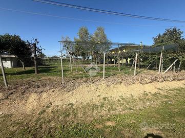 TER. AGRICOLO A BORGORICCO