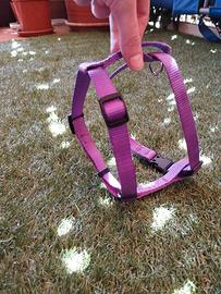 Pettorina per cani piccola viola