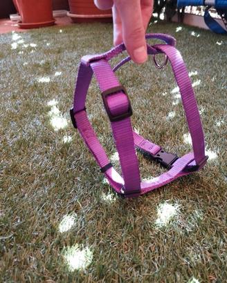 Pettorina per cani piccola viola