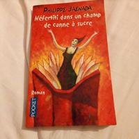 libro in francese Nefertiti ....