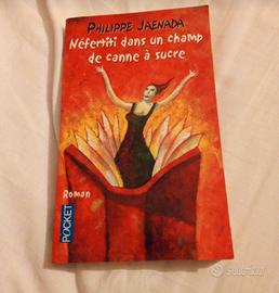 libro in francese Nefertiti ....