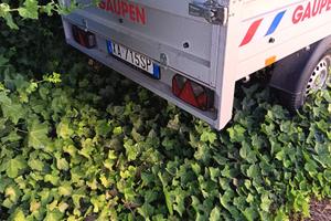 TESLA Model 3 - 2019