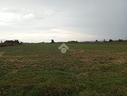 terreno-a-parma