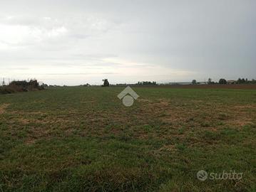 TERRENO A PARMA