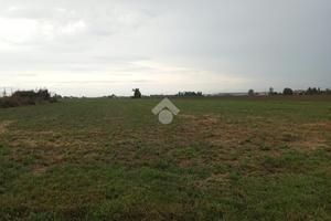 TERRENO A PARMA