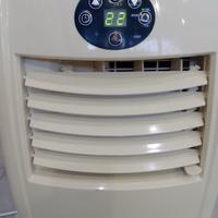 climatizzatore a carrello