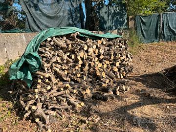 Legna da ardere olivo