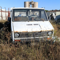 Iveco daily