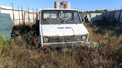 Iveco daily