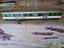 Immagine 5