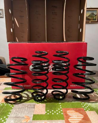 Eibach pro-kit molle per ford fiesta