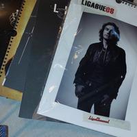 Lotto calendari Ligabue 2008–2014 – condizioni TOP