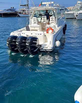 Boston Whaler Conquest 345 ( 2009)