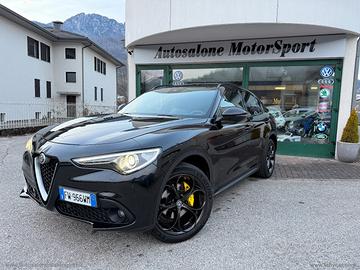 ALFA ROMEO Stelvio 2.2 T.diesel 210 CV AT8 Q4 Supe