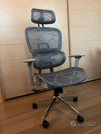 Sedia Ergonomica in Mesh (Grigia)