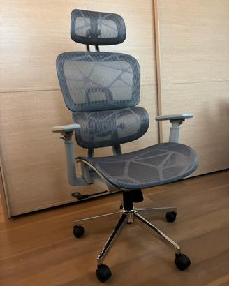 Sedia Ergonomica in Mesh (Grigia)