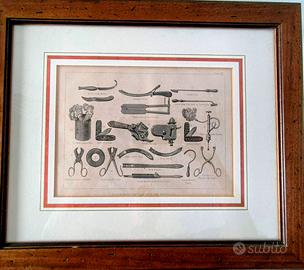 Antica litografia - 1880 Strumenti veterinari