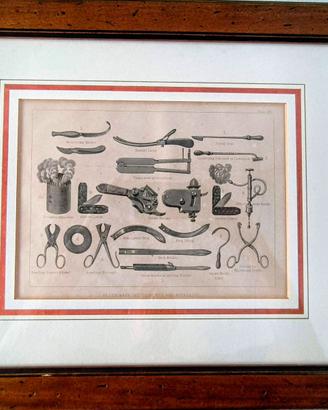 Antica litografia - 1880 Strumenti veterinari