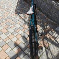 MTB BOTTECCHIA (Misura 53)