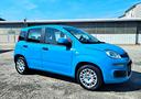 fiat-panda-1-2-pandazzurri