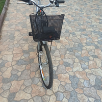 Bici elettrica ITALWIN BEAUTY