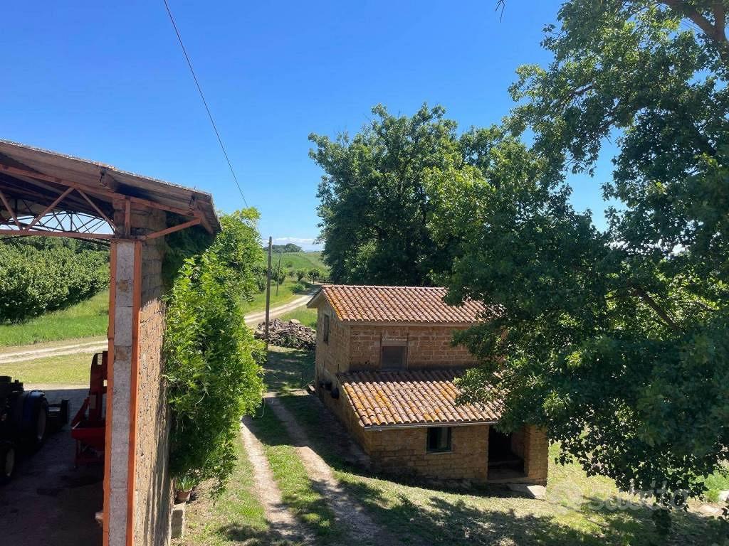 Rustico / Casale di 437 m² con più di 5 locali e b - Vista 3