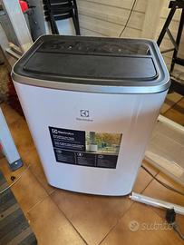 climatizzatore portatile Electrolux