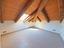 Immagine 14