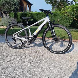 Bici pedalata assistita