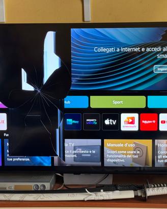 Tv 55 qned schermo rotto