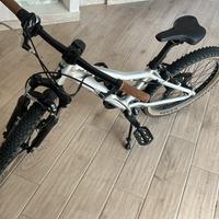 Scott 20
