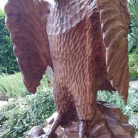 Aquila scolpita in legno di cirmolo