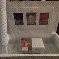 promo + gadget upc Pokemon 151