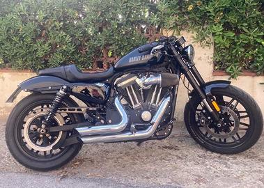 Harley davidson sportster roasfster 1200