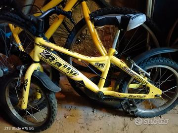 bicicletta
