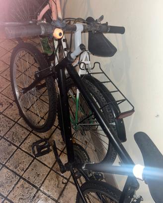 Bicilette mountainbike