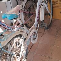 bici bottecchia