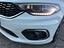 Immagine 16