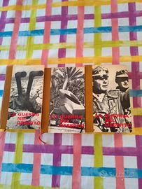 La Guerra nel deserto  di E.KRIEG