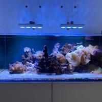 Acquario marino Fantail 400 litri accessori Elos