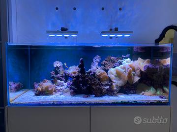 Acquario marino Fantail 400 litri accessori Elos