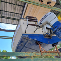 Motoscafo almar open senza patente 40 cv johnson